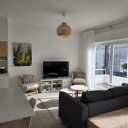 Serracao Da Foz Holiday home *